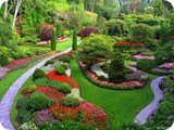 gallery-(8)